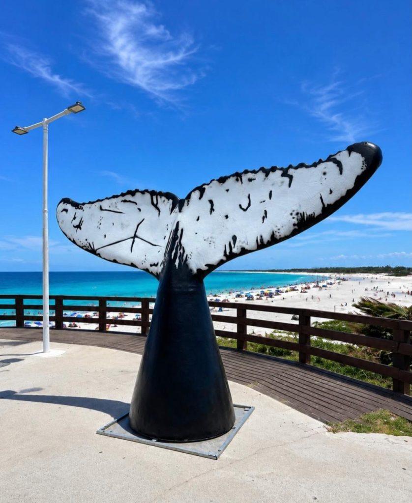 baleias em arraial do cabo