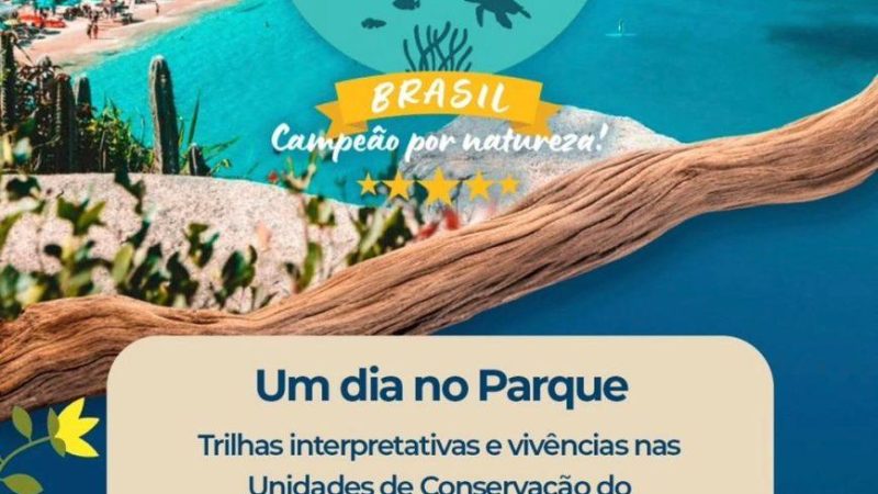 um dia na praia do forno